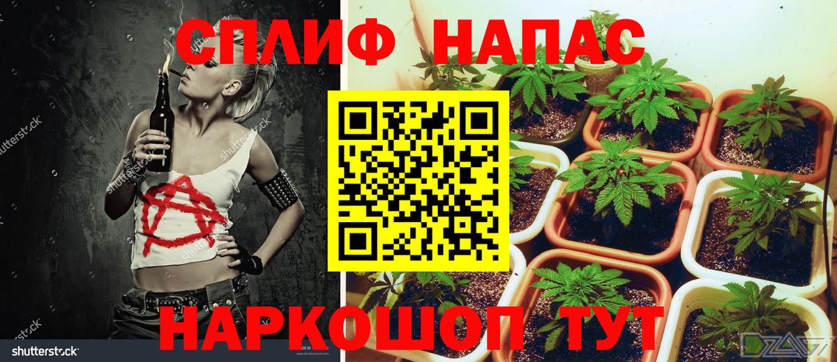 Конопля планчик Лабинск